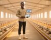 How to Start a Poultry Farm in Nigeria: The 2026 Success Blueprint