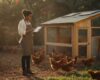 Learn Poultry Farming at Home: 2026 Beginner’s Guide